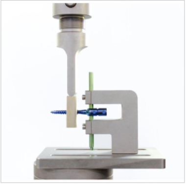 Femoral Condyles Components Fatigue Performance Tester