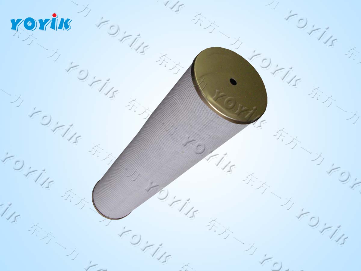 filter for hydraulic system DL007002 EH oil tank inner filter for Santaldih power