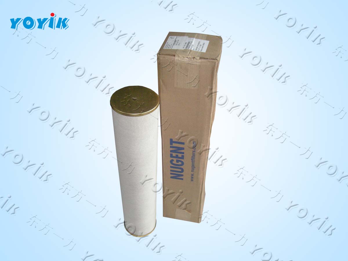 filter element cartridge DP301EEA10V/-W governor inlet filter