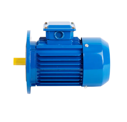  Vacuum Pum Three-Phase Asynchronous Motor