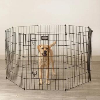 Collapsible Dog Cage