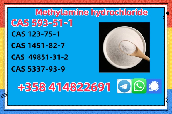 Buy High Quality CAS 593-51-1 Methylamine Hydrochloride at Best Price    