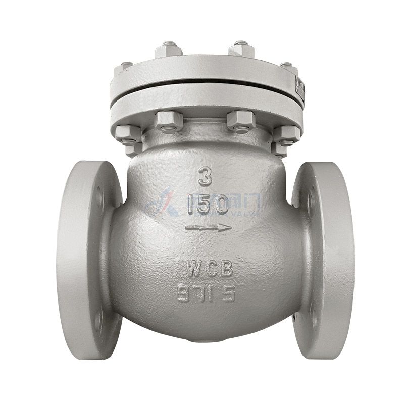 swing type foot valve