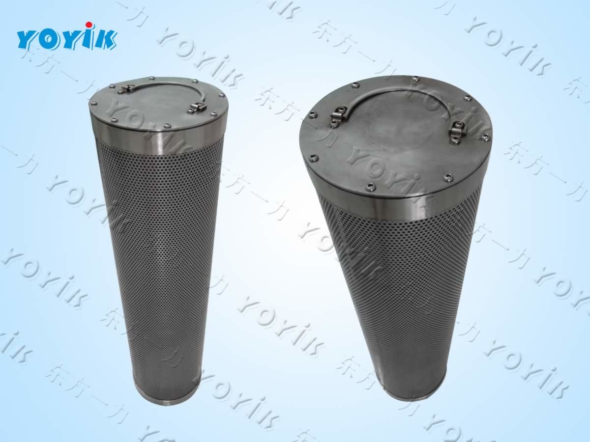 filter element cartridge DP301EEA10V/-W governor inlet filter for Wardha Warora power (test123)