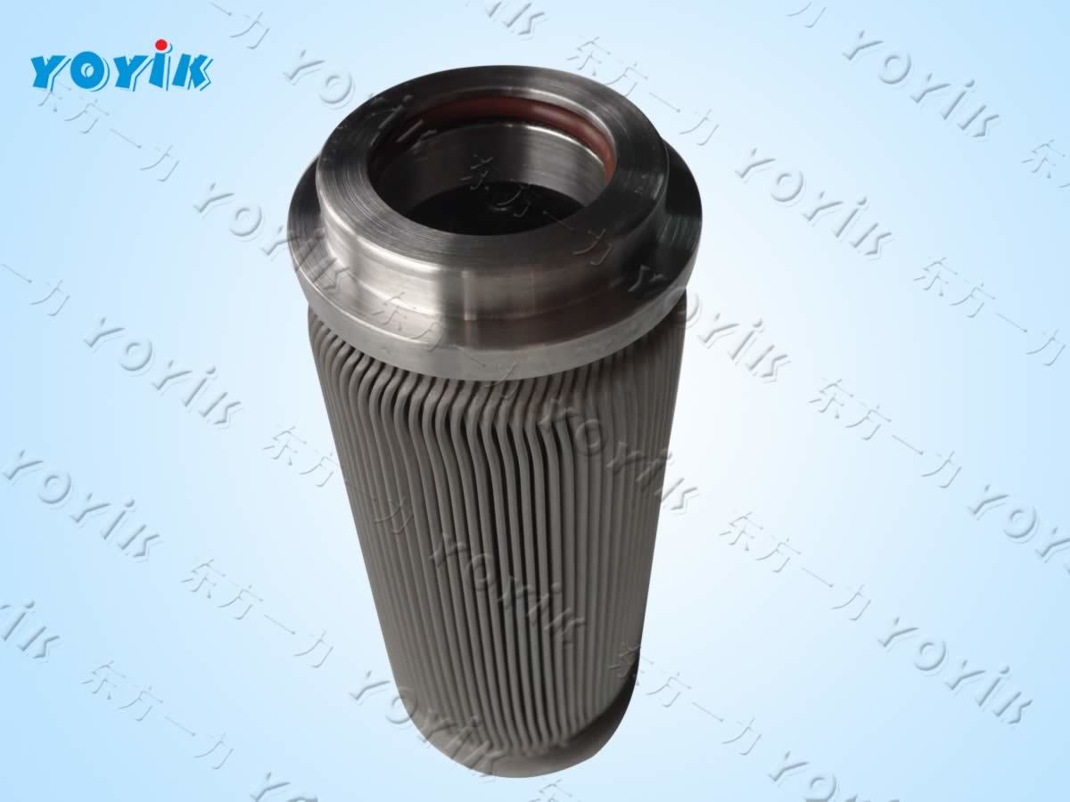 filter element cartridge DP301EEA10V/-W governor inlet filter for Wardha Warora power (test123)