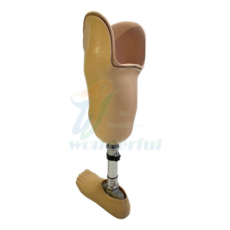 Five-axis Pneumatic Knee Joint