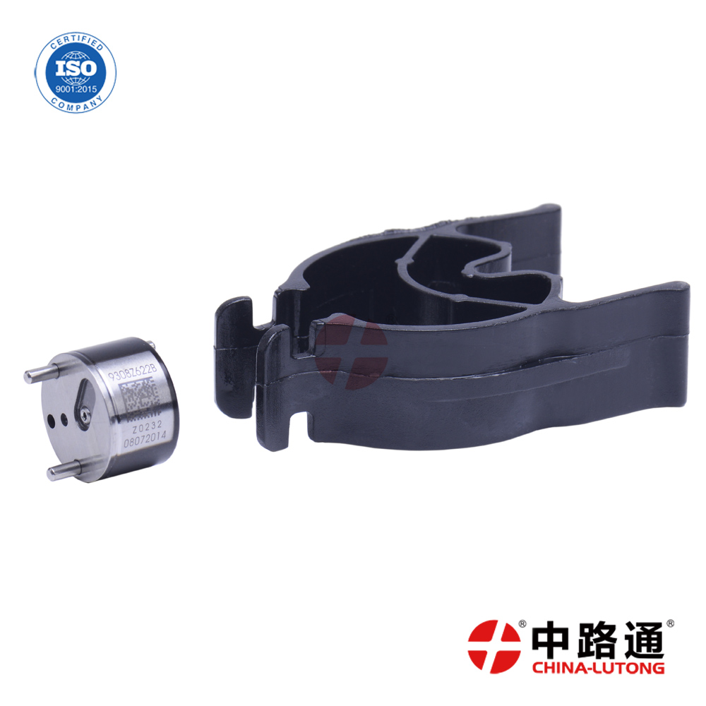 VE Injection pump VE4-12F1100L954 VE Injection pump VE4-9F2200