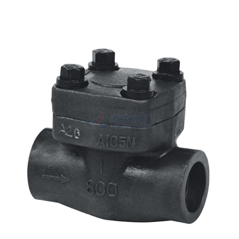 Common Types Of Check Valves