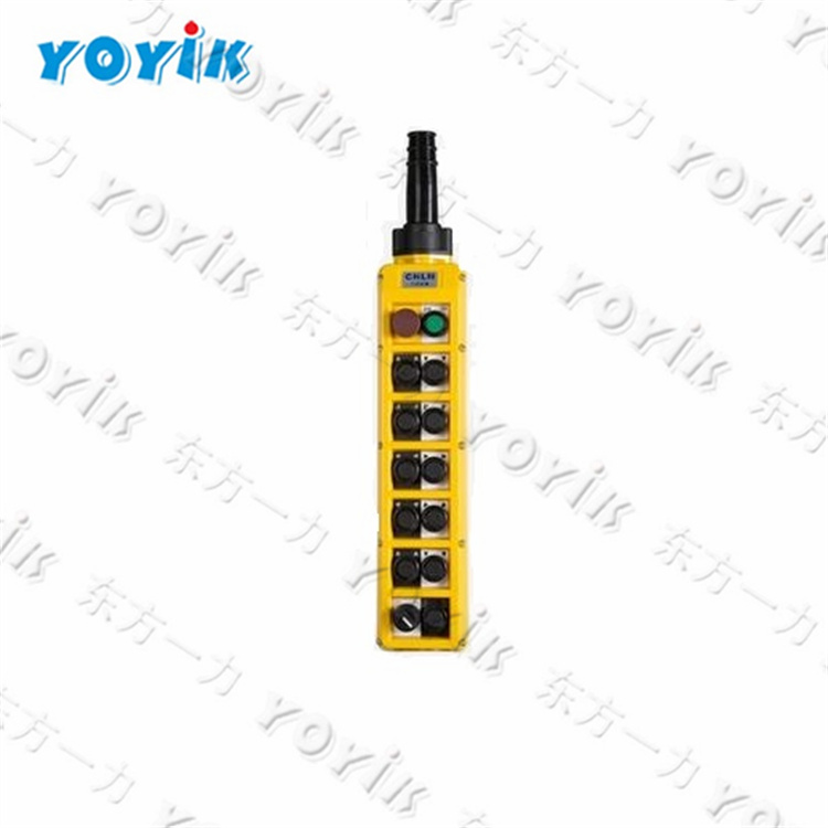 Electronic Remote Level Gauge UDZ-191A for thermal power plant