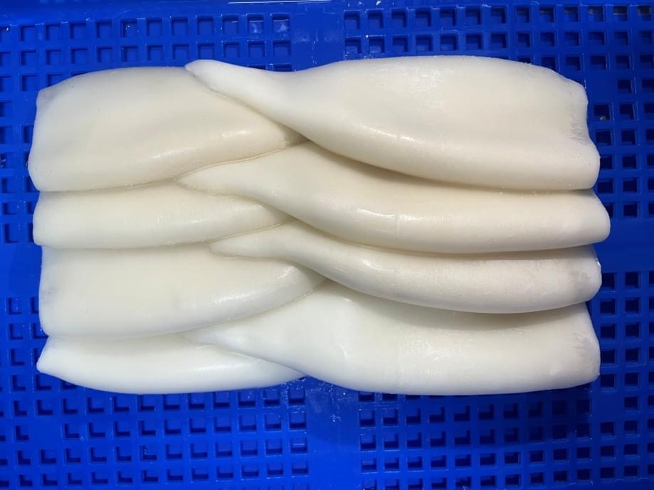 Frozen Squid Tube / Calamari Tube Wholesale Seafood Supplier