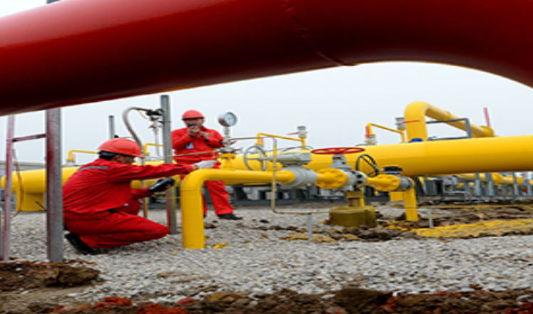 High-Weatherability Powder Coating for Gas Pipelines