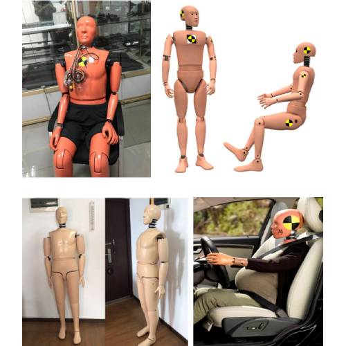 Car Crash Test Dummies(Hybrid iii Dummys)