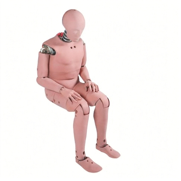 50th Percentile Male Crash Test Dummy | ASTM ISO Testing Machine