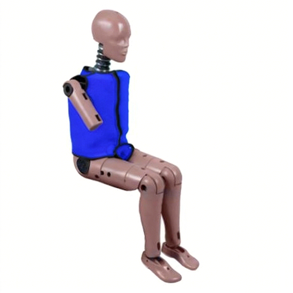 Female Side Impact Dummy | ASTM ISO Testing Machine