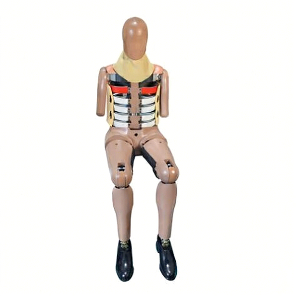 50th Percentile Male Side Impact Dummy | ASTM ISO Testing Machine