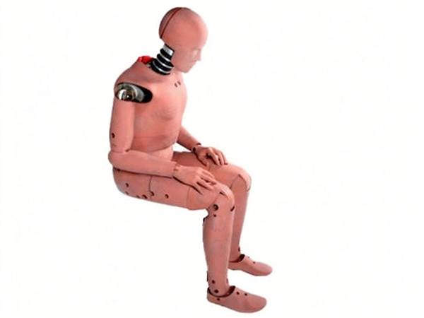 Crash Test Dummy| ASTM ISO Testing Machine