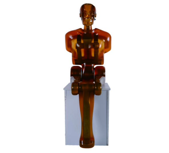 Seatbelt Test Dummy ECE R16 | ASTM ISO Testing Machine