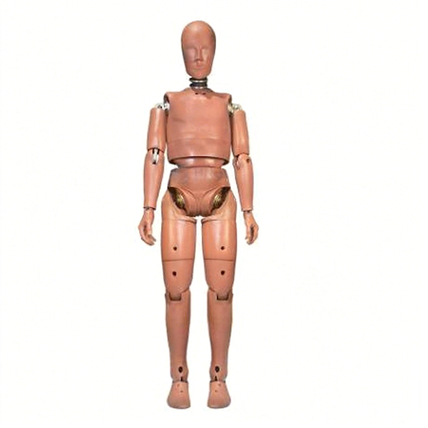 50th percentile male standing crash test dummy for pedestrian safety testing