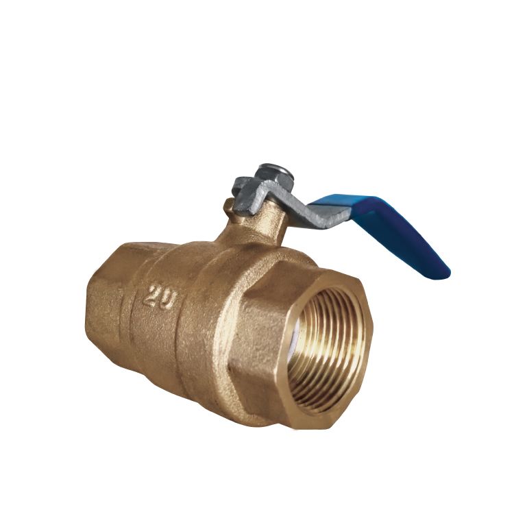 Cast Iron Globe Valve