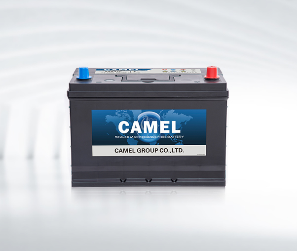 Automotive Starter Battery