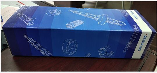 Common Rail SCV RFY0 13 V21A  