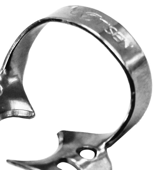 Dental Wedge
