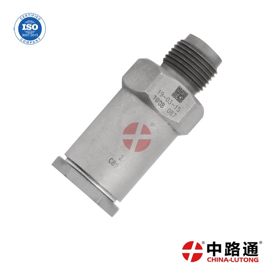 Bosch Pressure Relief Valve 0281006074 Limiter Assy Fuel Pressure Relief Valve
