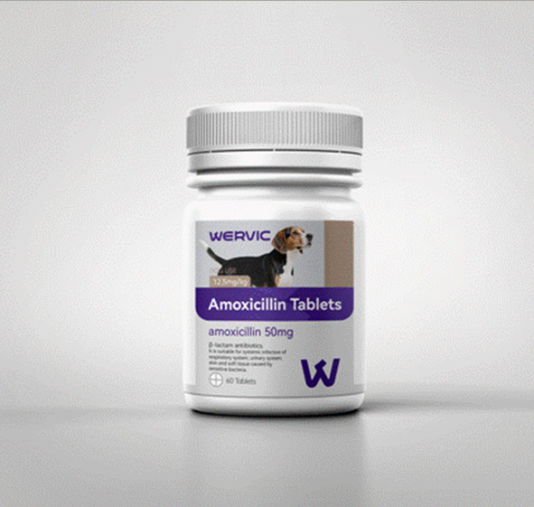 Bulk Antibiotics For Pets