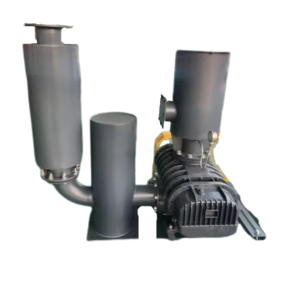 Lt100 Roots Blower Positive Pressure Suitable for Industrial Heavy-Duty Applications
