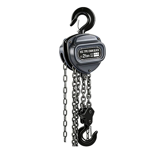 mini electric hoist with trolley